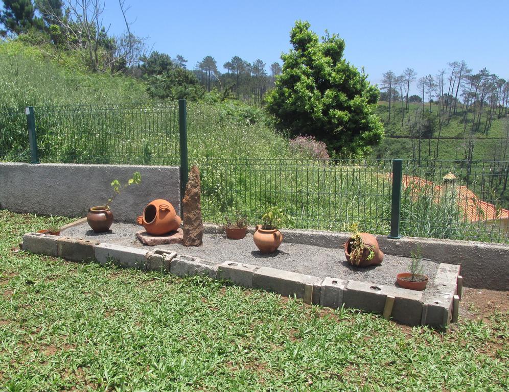 Casa Formiga Villa Fajã da Ovelha Kültér fotó
